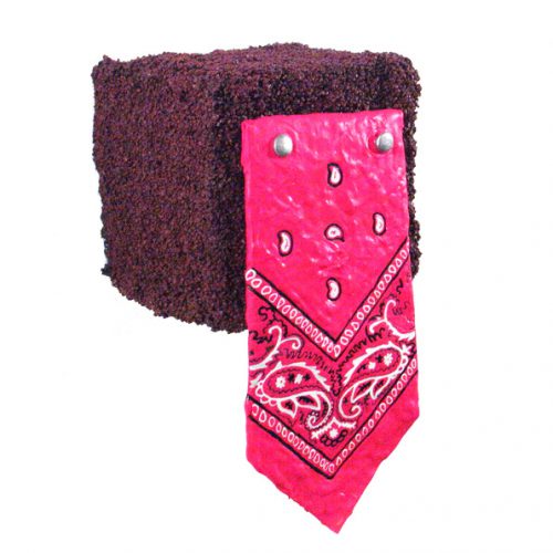 Craig Hein - Pink Bandana