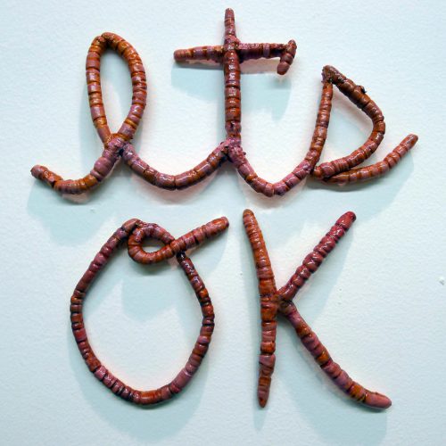 Craig Hein - Worm Message